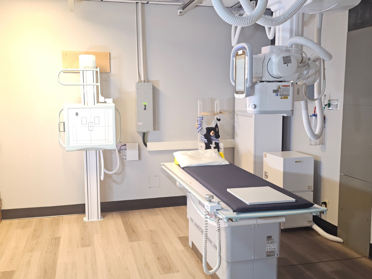 photos of the new xray machines just added to the radiology department featuring the Shimadzu RadSpeed Pro 5