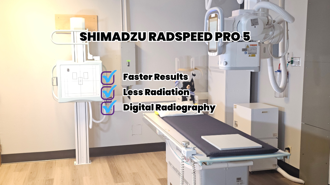 A New Era of Diagnostic Excellence